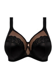 Cate Allure Banded Bra Black