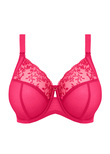 Zarla Banded Bra Love Potion