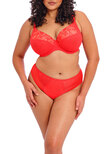Elomi Charley Plunge Bra Salsa Charley Plunge Bra Salsa
