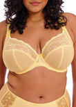 Elomi Charley Stretch Plunge Bra Lemon Fizz Charley Plunge Bra Lemon Fizz