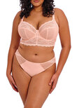 Elomi Charley Brazilian Ballet Pink Charley Thong Ballet Pink