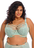 Elomi Brianna Plunge Bra Frozen Brianna Plunge Bra Frozen