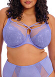 Elomi Brianna Plunge Bra Jacaranda Brianna Plunge Bra Jacaranda