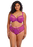 Elomi Matilda Plunge Bra Hollyhock Matilda Plunge Bra Hollyhock