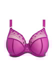 Elomi Matilda Plunge Bra Hollyhock Matilda Plunge Bra Hollyhock