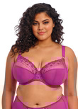 Elomi Matilda Plunge Bra Hollyhock Matilda Plunge Bra Hollyhock