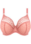 Matilda Plunge Bra Rose Leo