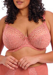 Matilda Plunge Bra Rose Leo