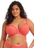 Matilda Plunge Bra