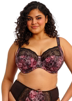 Morgan Stretch Banded Bra Dark Romance Morgan  Dark Romance