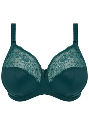Morgan Stretch Banded Bra Deep Teal Morgan  Deep Teal