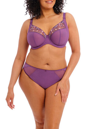 Charley Plunge Bra Pansy Charley  Pansy