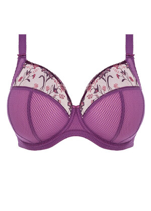 Charley Plunge Bra Pansy Charley  Pansy