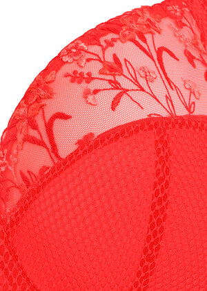 Charley Plunge Bra Salsa Charley  Salsa
