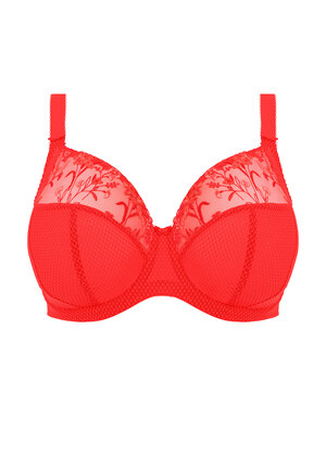 Charley Plunge Bra Salsa Charley  Salsa