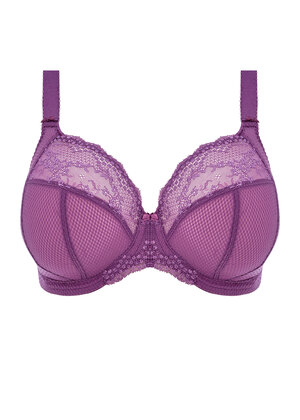 Charley Stretch Plunge Bra Pansy Charley  Pansy