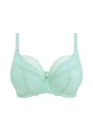 Brianna Padded Half Cup Bra Frozen Brianna  Frozen