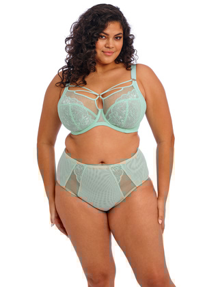 Brianna Full Brief Frozen Brianna  Frozen