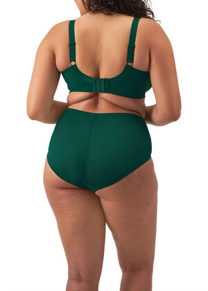 Brianna Full Brief Rainforest Brianna  Rainforest