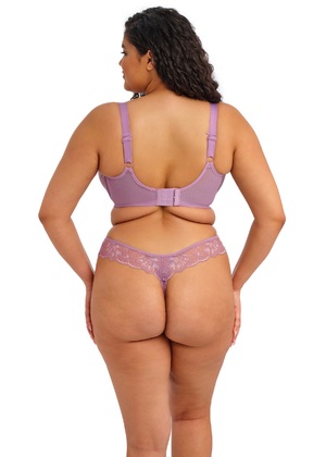 Plus Size Thongs | Brazilian Briefs | Elomi US Plus Size Thongs | Brazilian Briefs | Elomi US