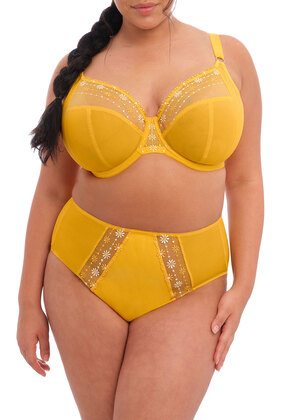 Matilda Plunge Bra Daisy Matilda  Daisy