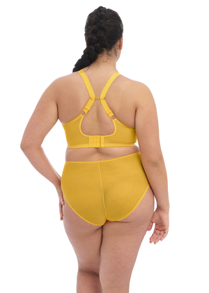 Matilda Plunge Bra Daisy Matilda  Daisy