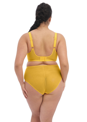 Matilda Plunge Bra Daisy Matilda  Daisy