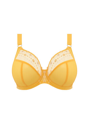 Matilda Plunge Bra Daisy Matilda  Daisy