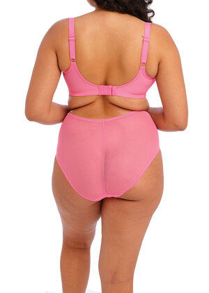 Matilda Plunge Bra Wild Cherry Matilda  Wild Cherry