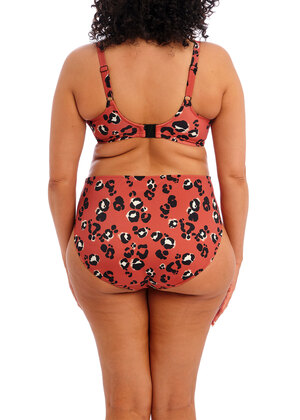 Kotiya Mid Rise Bikini Brief Terracotta Kotiya  Terracotta