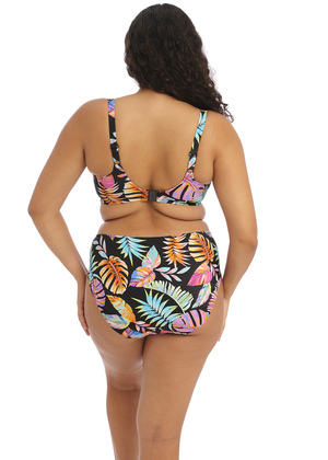 Tropical Falls Mid Rise Bikini Brief Black Tropical Falls  Black