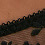 Black Black