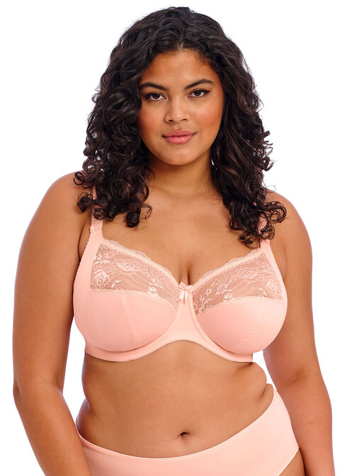 Elomi Morgan Stretch Lace Banded Underwire Bra (4110)- Cameo Rose