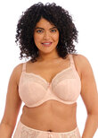 Elomi Morgan Stretch Banded Bra Cameo Rose Morgan Banded Bra Cameo Rose