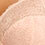 Cameo Rose Cameo Rose