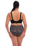 Elomi Morgan Stretch Banded Bra Serengeti Morgan Banded Bra Serengeti