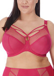 Elomi Sachi Plunge Bra Cherryade Sachi Plunge Bra Cherryade