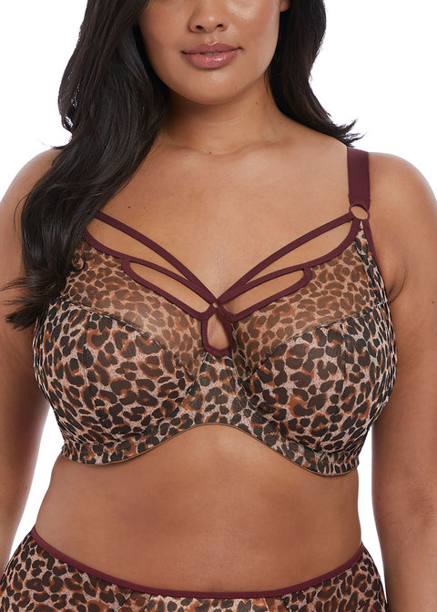 Sachi Leopard Print Plunge Bra from Elomi