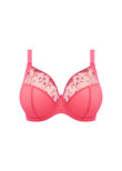 Elomi Charley Stretch Plunge Bra Honeysuckle Charley Plunge Bra Honeysuckle