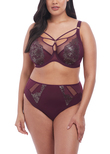 Elomi Eugenie High Leg Brief Gilded Berry Eugenie  Gilded Berry