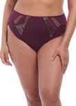Elomi Eugenie High Leg Brief Gilded Berry Eugenie  Gilded Berry