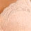 Cameo Rose Cameo Rose