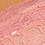 Ash Rose Ash Rose