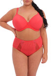 Elomi Bijou Banded Moulded Bra Cayenne Bijou Banded Bra Cayenne