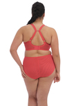 Elomi Bijou Banded Moulded Bra Cayenne Bijou Banded Bra Cayenne
