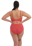 Elomi Bijou Banded Moulded Bra Cayenne Bijou Banded Bra Cayenne