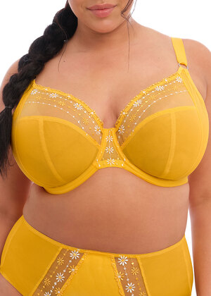 Matilda Plunge Bra Daisy Matilda  Daisy