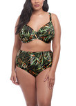 Elomi Amazonia Classic Bikini Brief Khaki Amazonia Bikini Bottom Khaki
