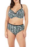 Elomi Zulu Rhythm Plunge Bikini Top Black Zulu Rhythm  Black