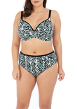 Elomi Zulu Rhythm Plunge Bikini Top Black Zulu Rhythm  Black